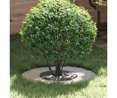 Vidaxl Bordure d'arbre en acier galvanisé - Ø 60 cm - 16% de remise