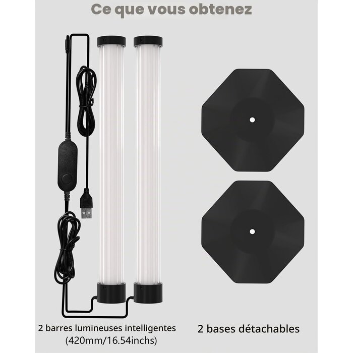 Barres LED RGBIC 43 cm pour TV & Gaming - Jusqu'à 32% de remise