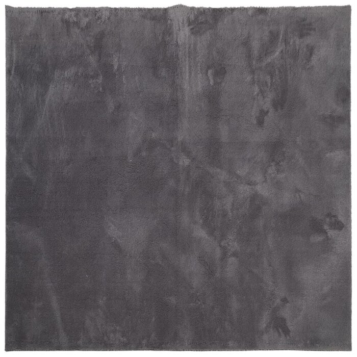 Vidaxl Tapis de sol rond 120x120 cm anthracite - Jusqu'à -33%