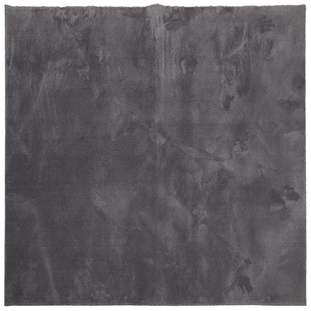 Vidaxl Tapis de sol rond 120x120 cm anthracite - Jusqu'à -33%