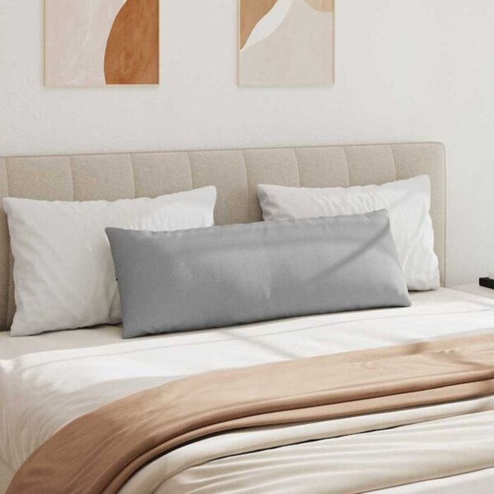 Vidaxl Lot de 2 coussins gris nuage 120x40cm - Jusqu'à 33% de remise