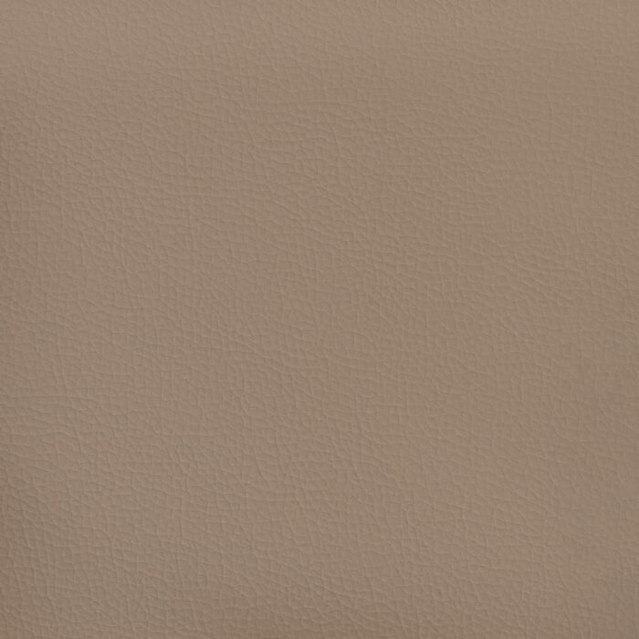 Vidaxl Lot de 2 coussins similicuir 40x40 cm - Cappuccino - Jusqu'à -29%