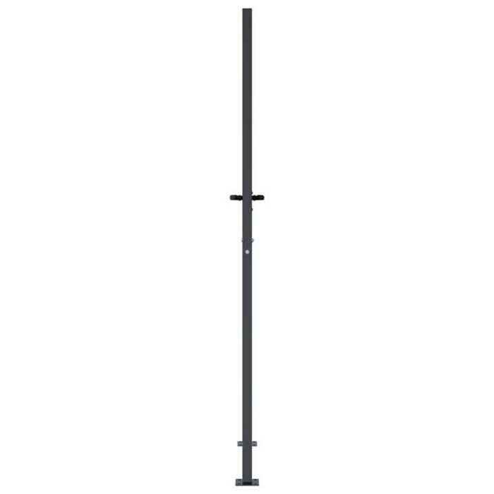 Vidaxl Portillon de jardin design 105x205cm acier anthracite - Jusqu'à -35%