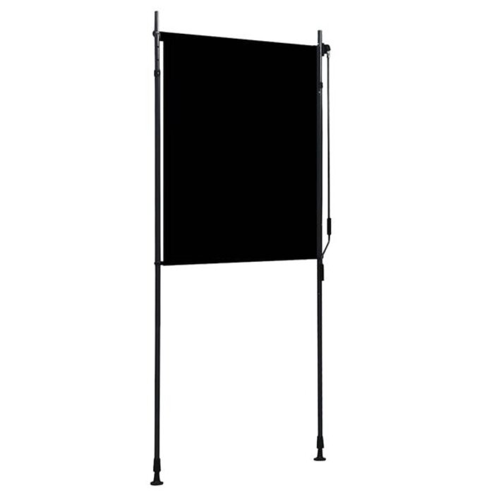 Vidaxl Store Enrouleur Extérieur 100x270 cm - Anthracite - Jusqu'à -33%