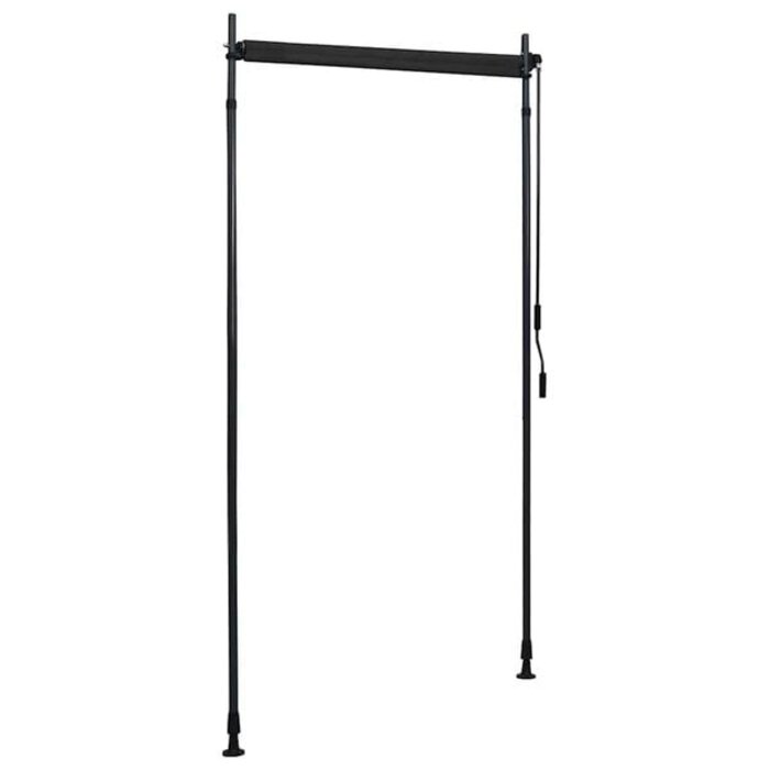 Vidaxl Store Enrouleur Extérieur 100x270 cm - Anthracite - Jusqu'à -33%