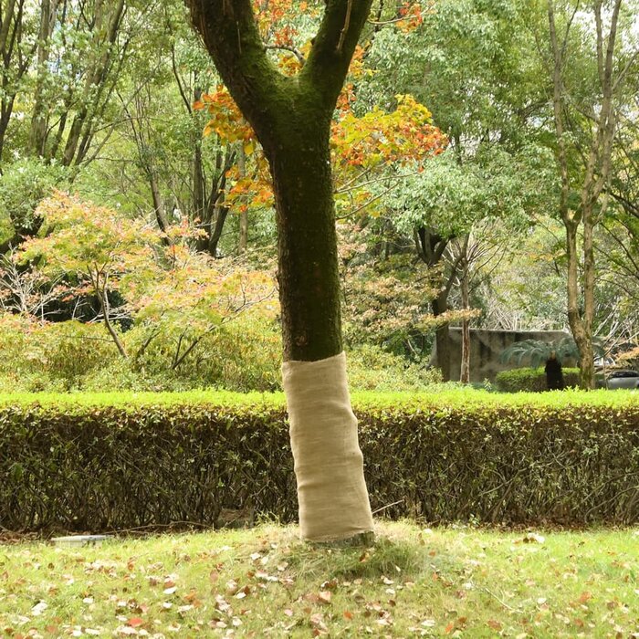 Vidaxl Rouleau de jute 100% naturel 1x50m - Jusqu'à 34% de remise