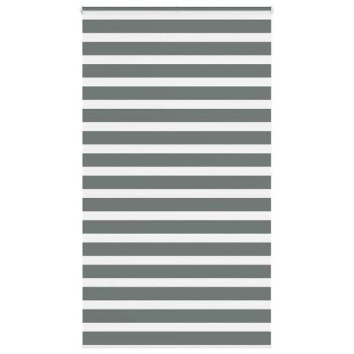 Vidaxl Store jour et nuit 120x200 cm - Gris foncé - 33% de remise