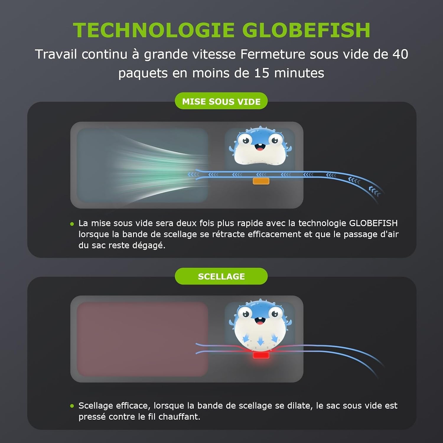 Appareil de mise sous vide - 4 modes de scellage - Blanc - 33% de remise