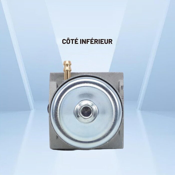Carburateur pour moteur Honda GCV160 - 25% de remise