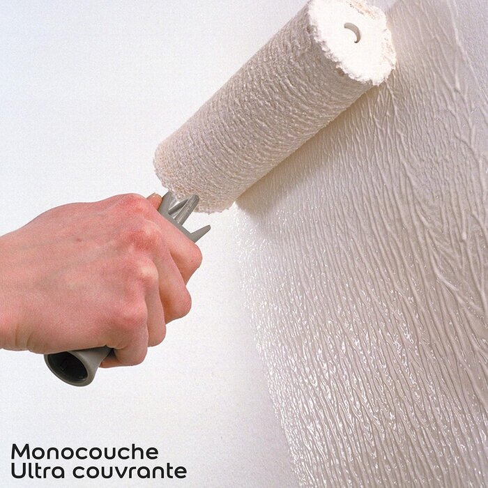 Peinture intérieure mate blanc 10L - 34% de remise
