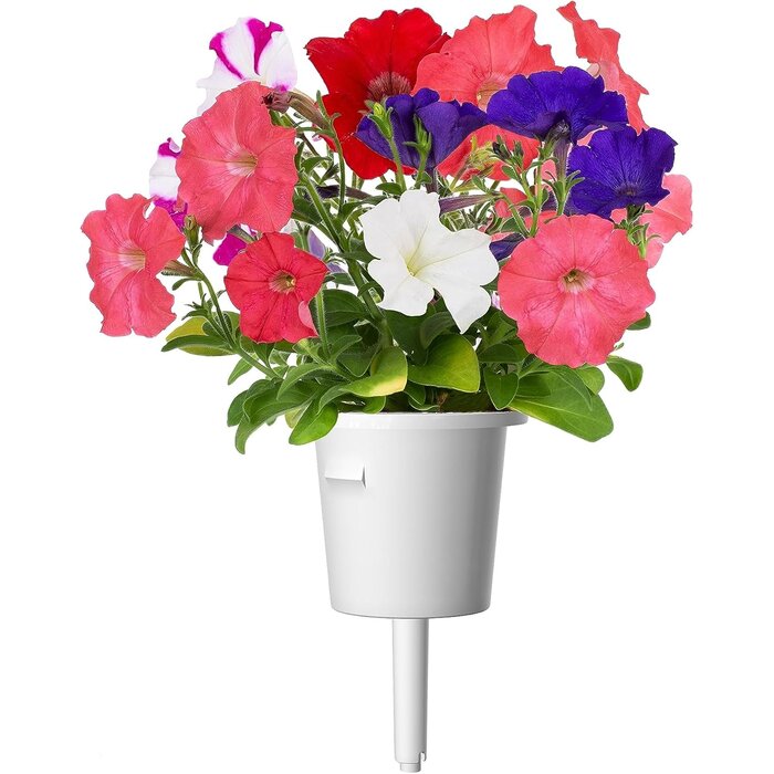3 Capsules de Pétunias pour potager intelligent - 25% de remise