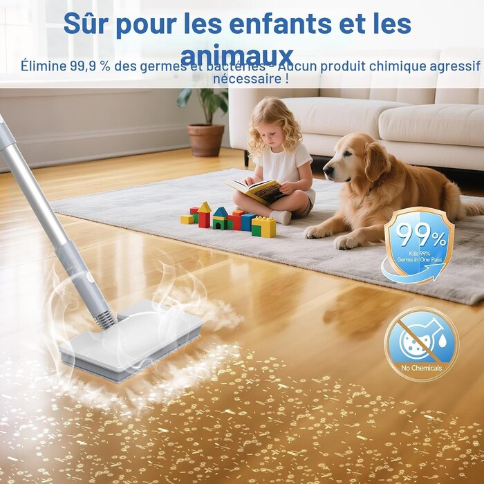 Nettoyeur vapeur multifonction FV07 - 34% de remise - Blanc