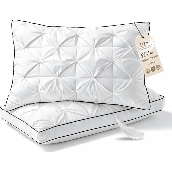 Lot de 2 oreillers en duvet 50x75 cm - 34% de remise
