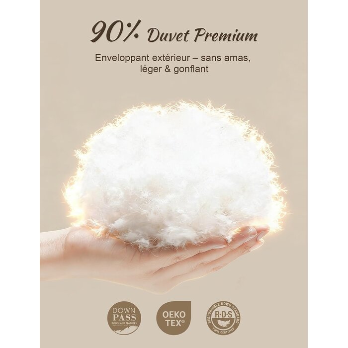 Lot de 2 oreillers en duvet 50x75 cm - 34% de remise