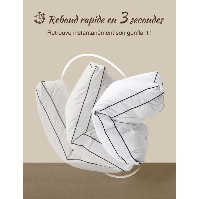 Lot de 2 oreillers en duvet 50x75 cm - 34% de remise
