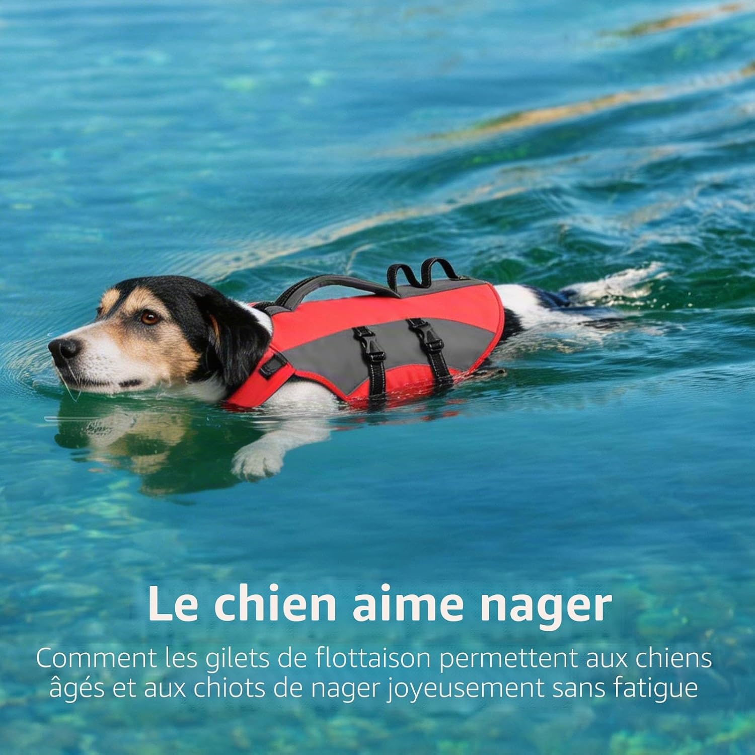 Gilet de sauvetage pour chien - Taille S - Rouge - 32% de remise