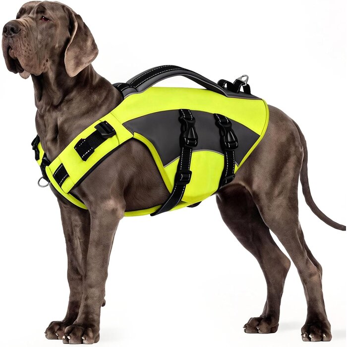 Gilet de sauvetage pour chien - Taille S - Rouge - 32% de remise