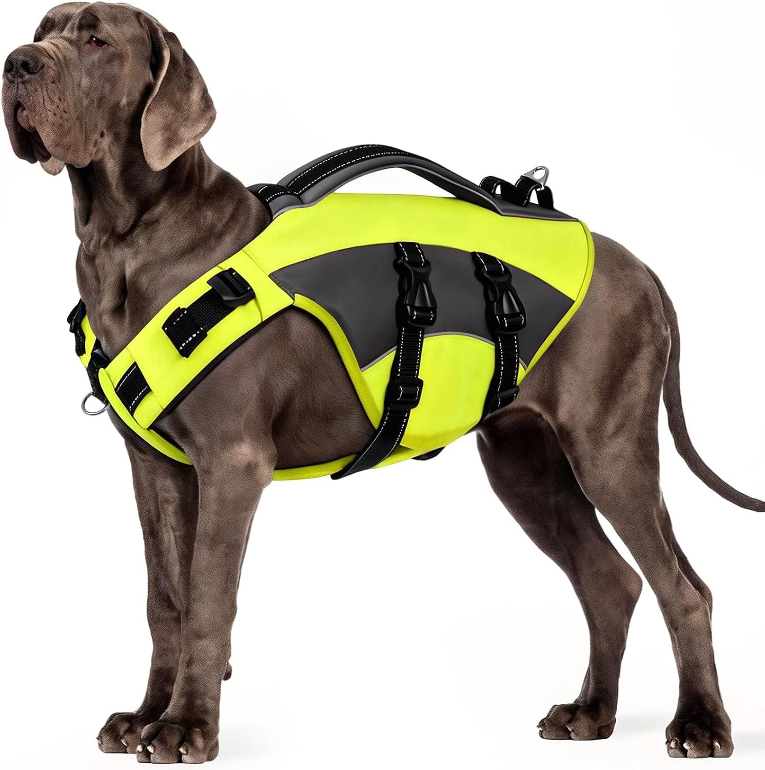 Gilet de sauvetage pour chien - Taille S - Rouge - 32% de remise