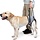 Harnais de levage pour chien XL Gris - 31% de remise