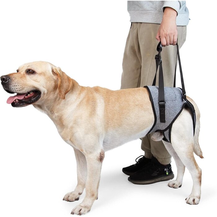 Harnais de levage pour chien XL Gris - 31% de remise