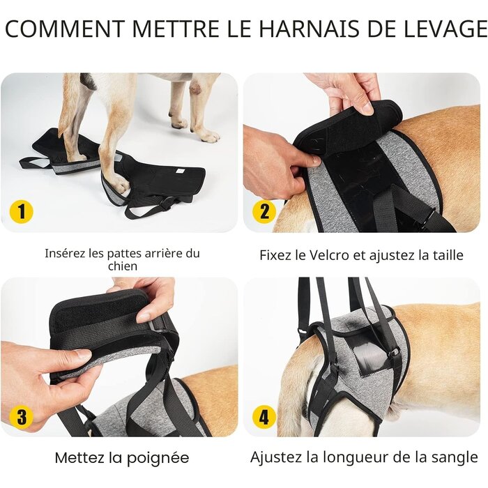 Harnais de levage pour chien XL Gris - 31% de remise