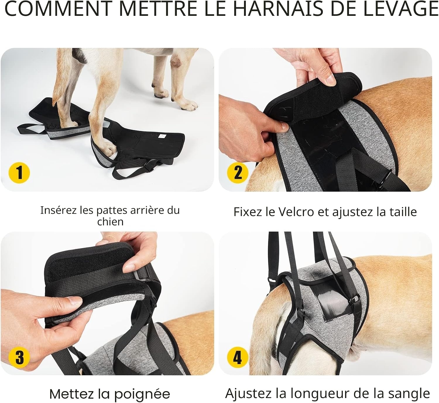 Harnais de levage pour chien XL Gris - 31% de remise