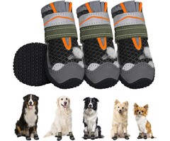 Chaussures de protection pour chien - Noir - Taille 2 - Lot de 4 - 41% de remise