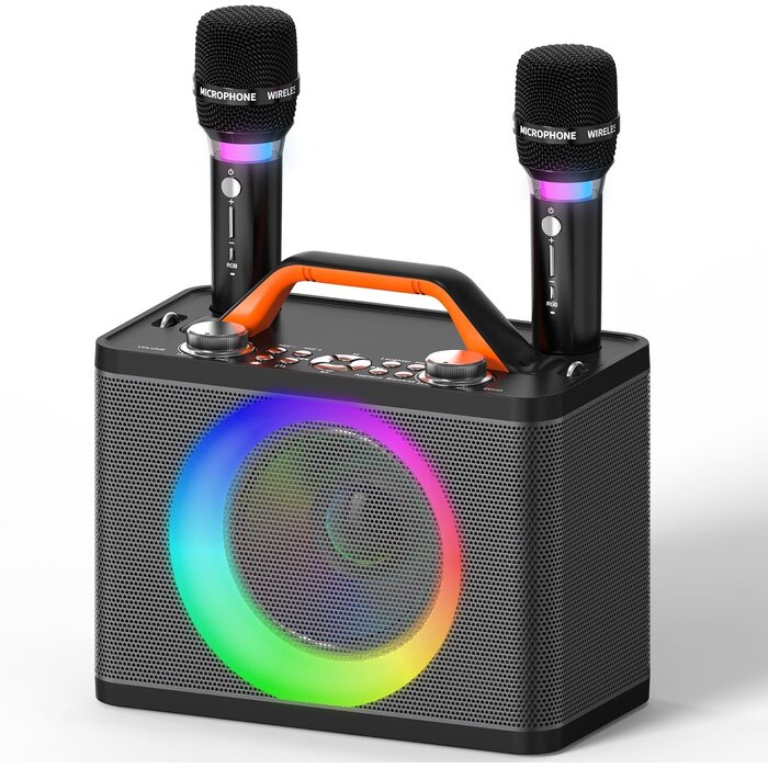 Machine à karaoké portable 2 micros sans fil - 34% de remise