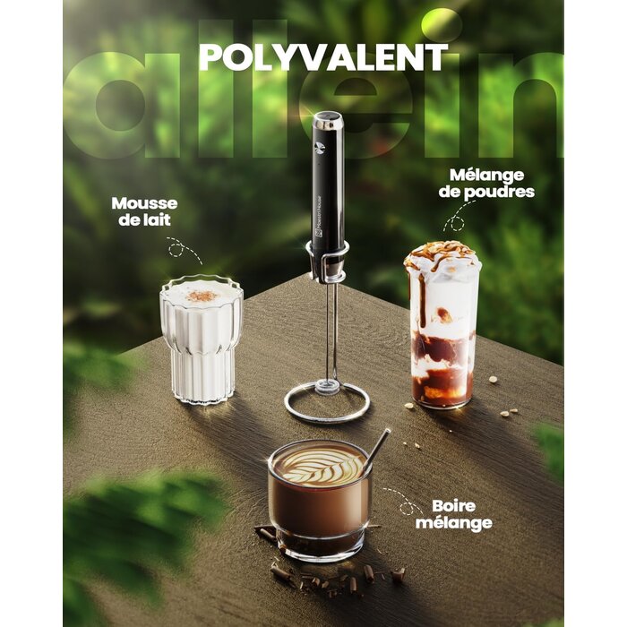 Mousseur à lait électrique rechargeable - Noir - 26% de remise