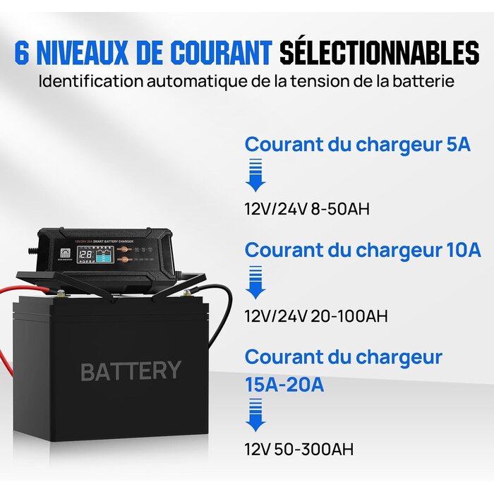 Chargeur Intelligent 12V/24V 20A - LiFePO4, AGM, Gel - 34% de remise