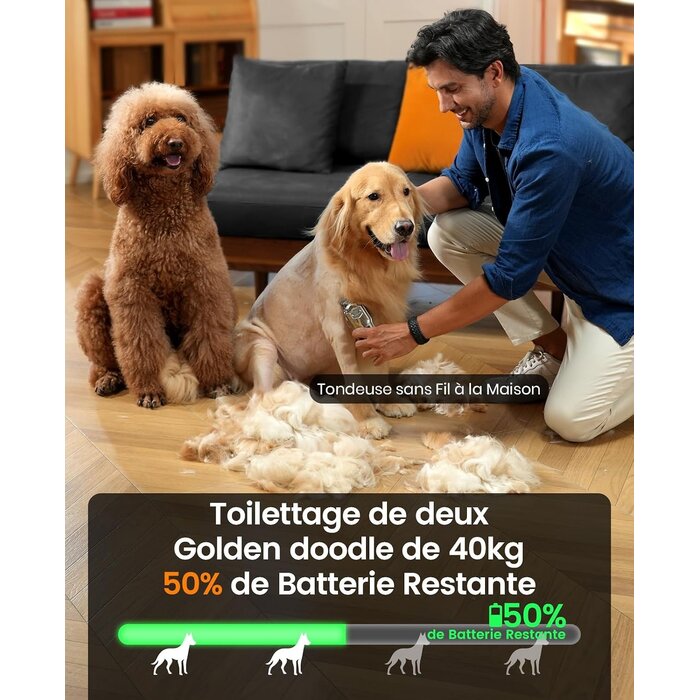 Tondeuse professionnelle pour chien - 33% de remise - Poils épais et bouclés