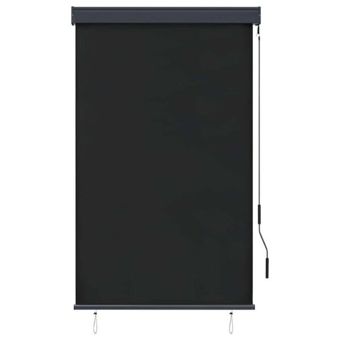 Store enrouleur d'extérieur 100x250 cm - Anthracite - 34% de remise