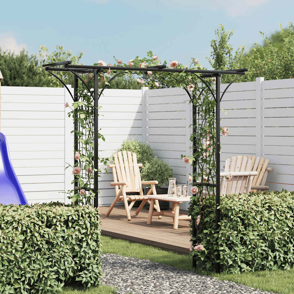 Vidaxl Arche de jardin en fer 200x52x204 cm noir - 34% de remise