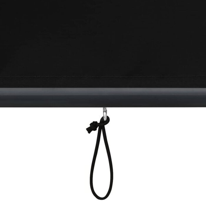 Vidaxl Store enrouleur extérieur 120x250 cm anthracite - 34% de remise