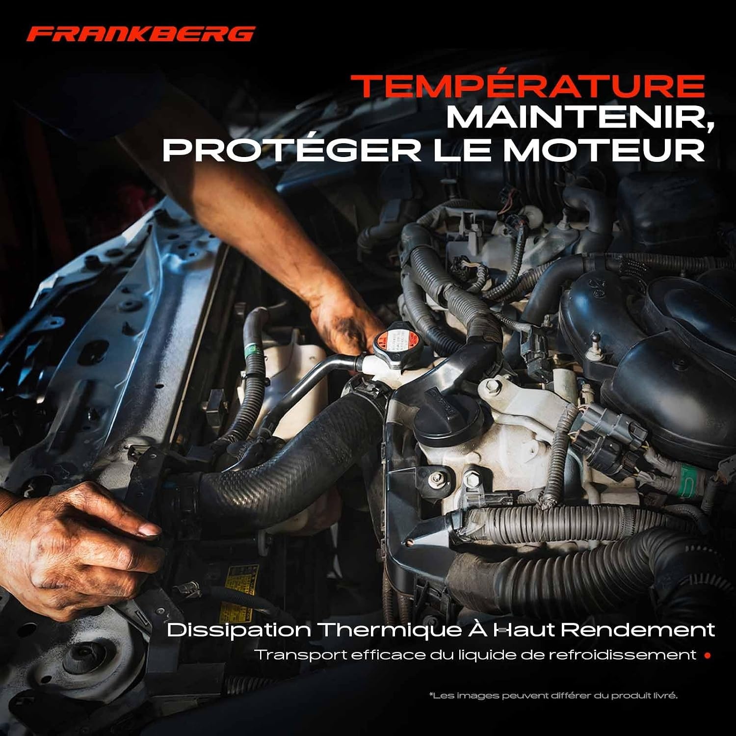 Frankberg Durite de refroidissement BMW Série 5 (F90/G30) - 34% de remise