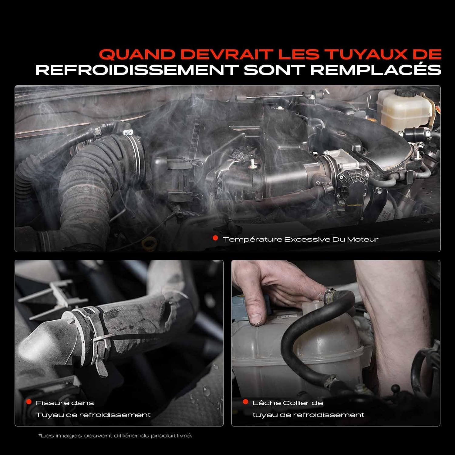 Frankberg Durite de refroidissement BMW Série 5 (F90/G30) - 34% de remise