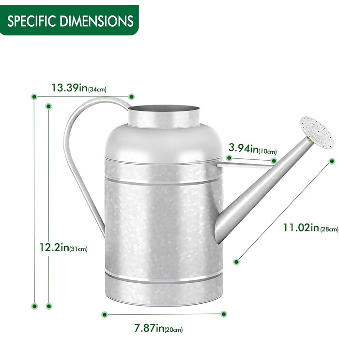 Arrosoir en acier galvanisé 8,7L avec bec amovible - 32% de remise