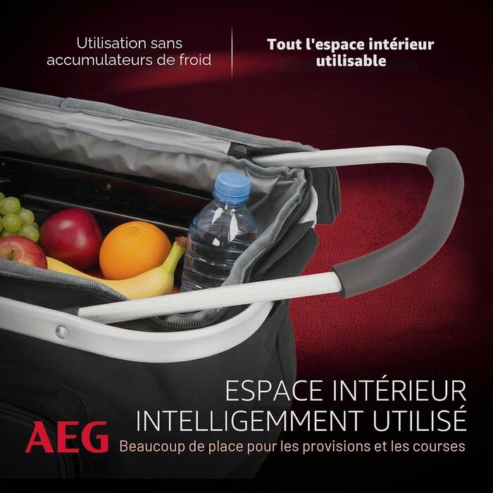 Panier isotherme thermoélectrique 26L 12V - Noir - 34% de remise