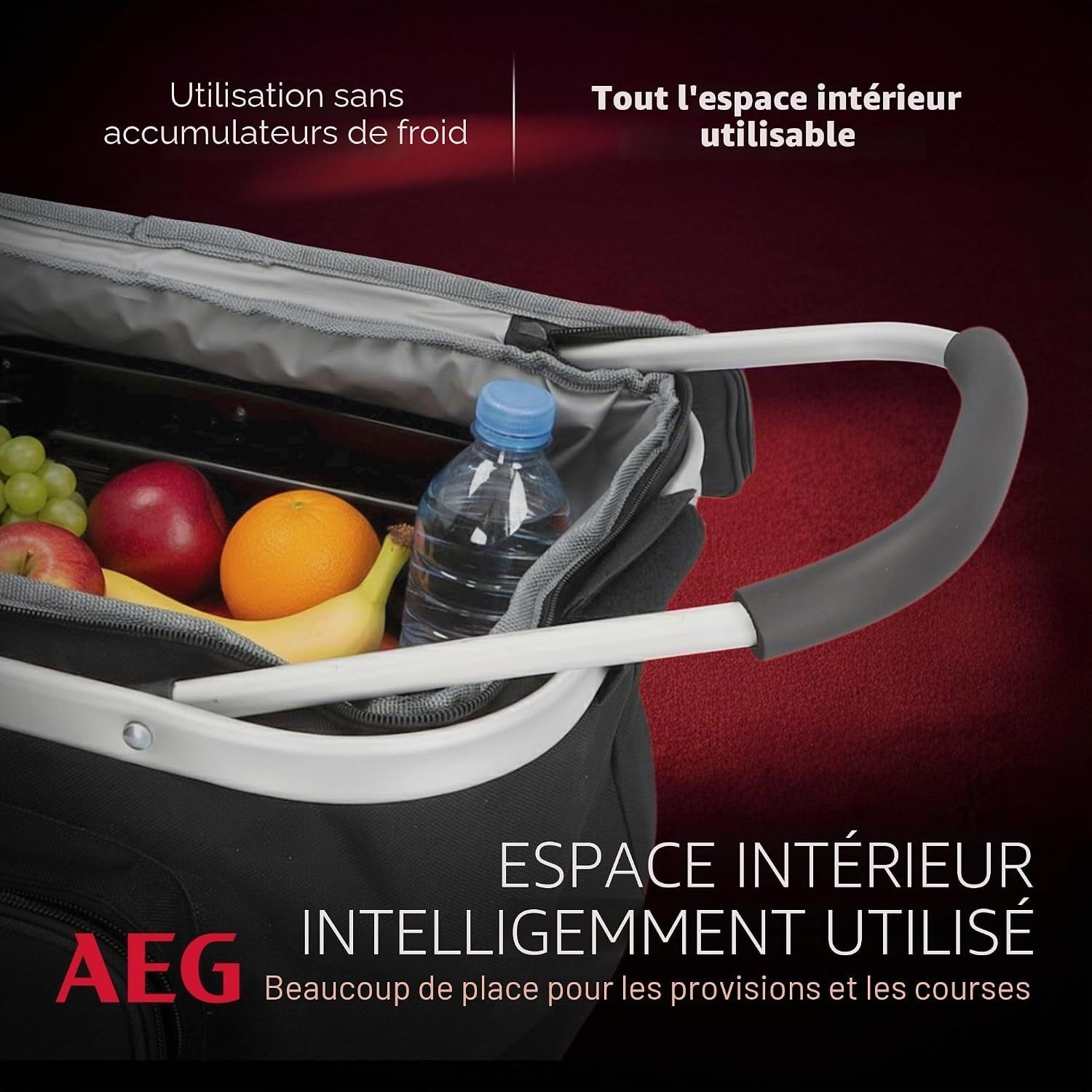 Panier isotherme thermoélectrique 26L 12V - Noir - 34% de remise