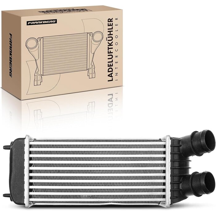 Intercooler pour Expert Jumpy Scudo Expert 1.6L 2.0L Diesel - 33% de remise