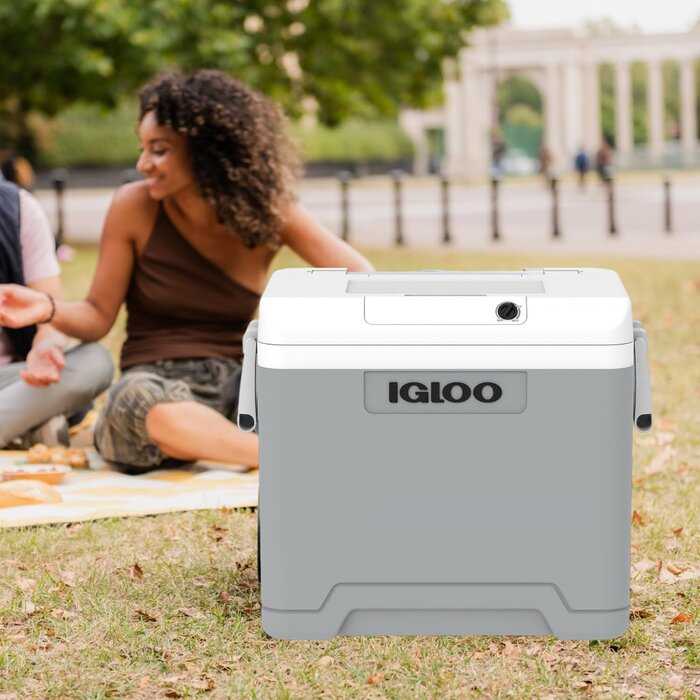 Glacière électrique 42L - 12V/230V avec roulettes - 34% de remise