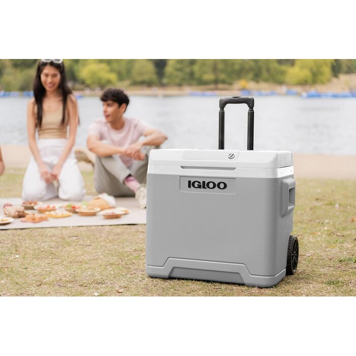 Glacière électrique 42L - 12V/230V avec roulettes - 34% de remise