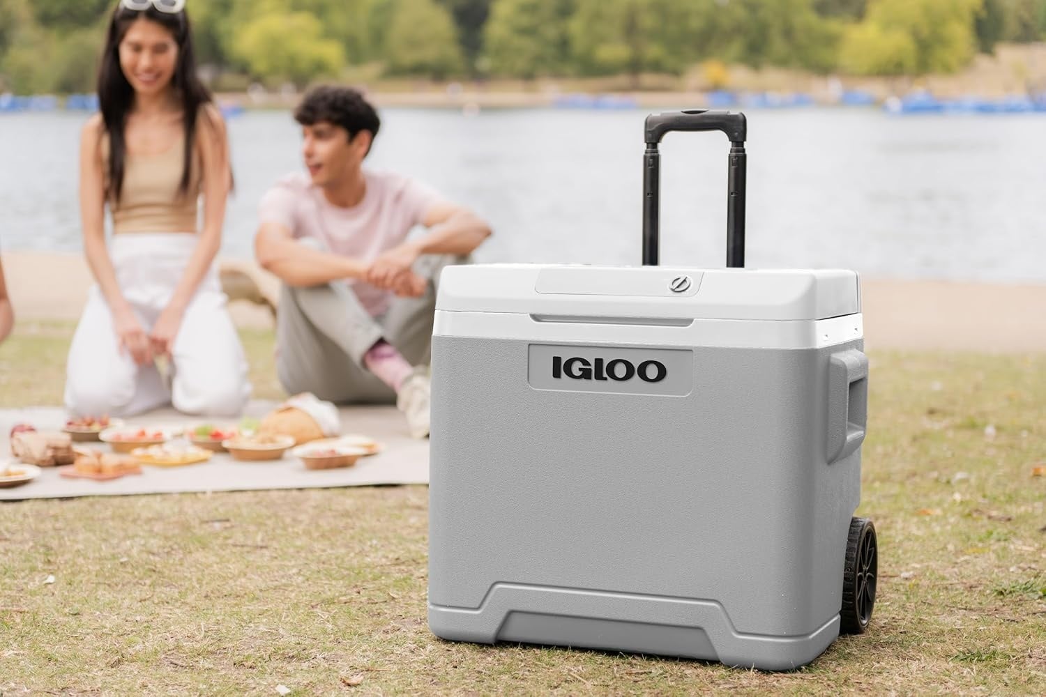 Glacière électrique 42L - 12V/230V avec roulettes - 34% de remise