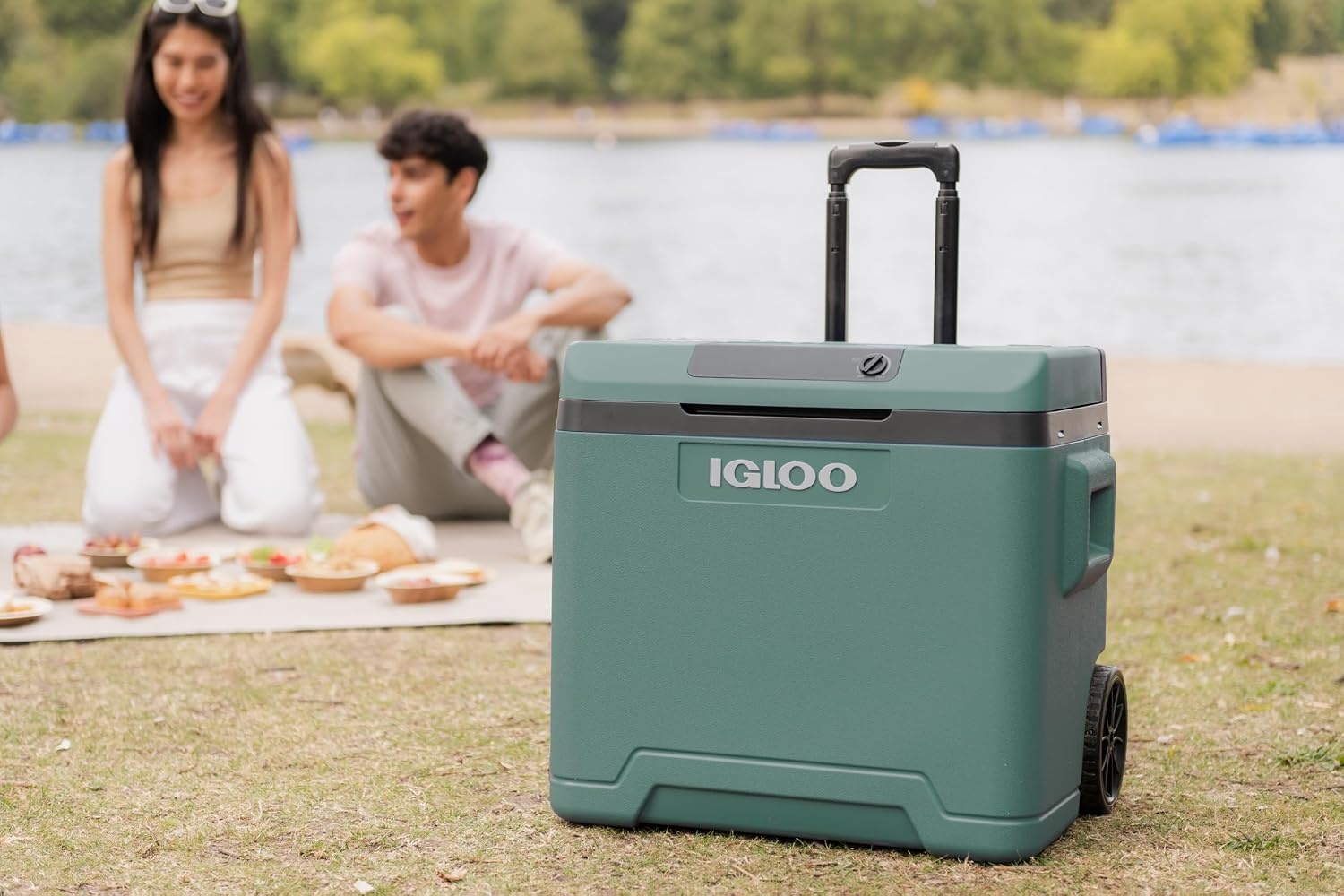 Glacière électrique 42L - 12V/230V - Verte - 34% de remise
