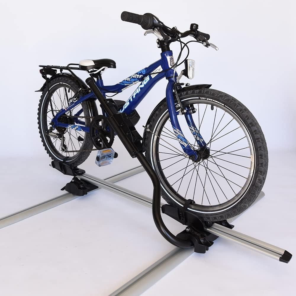 Porte-vélos de toit Chrome Taille L - 34% de remise