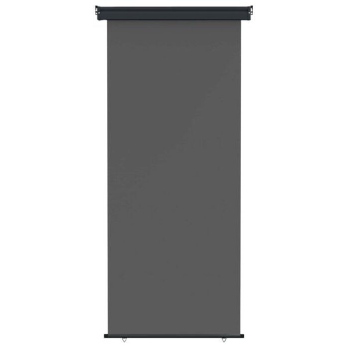 Pare-vue latéral 80x250 cm anthracite - 33% de remise