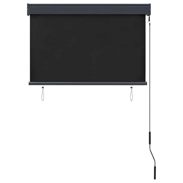Store enrouleur d'extérieur 100x250 cm anthracite - 34% de remise