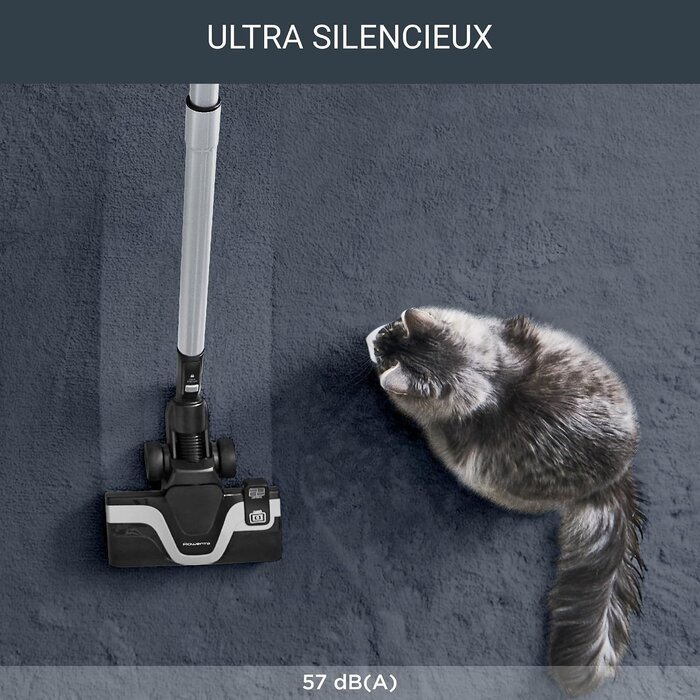 Aspirateur traîneau Silence 57 dB 4,5L - 35% de remise