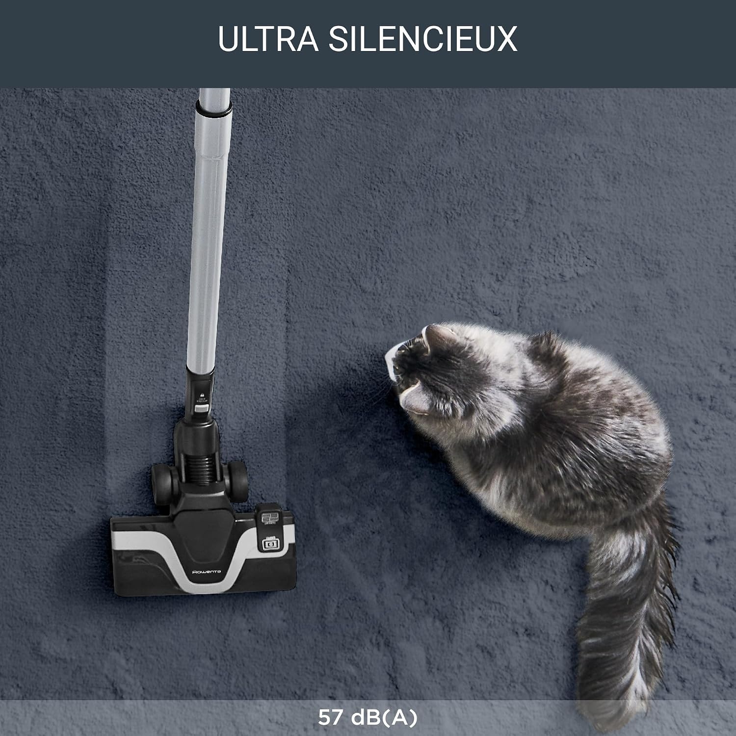 Aspirateur traîneau Silence 57 dB 4,5L - 35% de remise