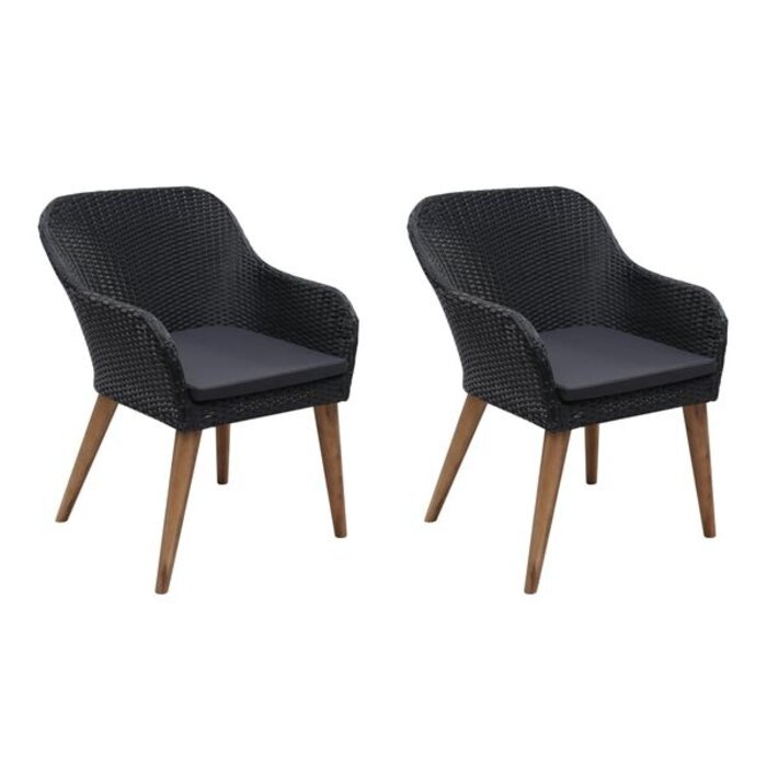 Vidaxl Lot de 2 fauteuils de jardin en rotin noir - 41% de remise
